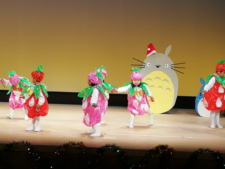 Img_20231208_104547