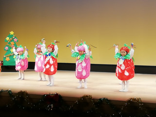 Img_20231208_104550